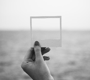 rawpixel-com-395551.jpg