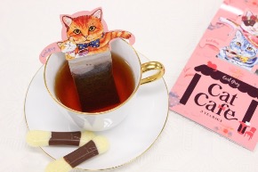 catcafe_main2.jpg