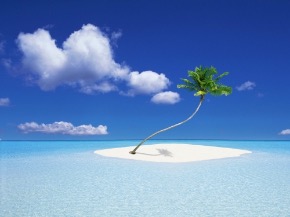 A-coconut-tree-island_1600x1200.jpg