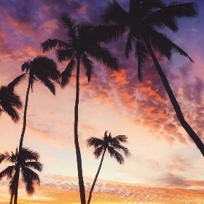 スクリーンショット 2019-11-19 23.52.14.png