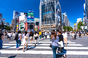 Shibuya crossroad.jpg