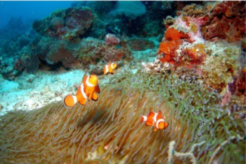 スクリーンショット 2023-06-22 21.05.44.png