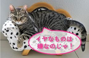 スクリーンショット 2018-01-17 17.39.23.png