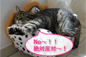 スクリーンショット 2018-01-18 16.30.43.png
