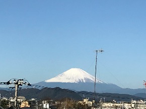 IMG_2524.JPG