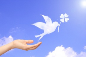 白い鳥.jpg