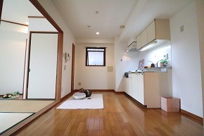 0.IMG_5820x290.jpg