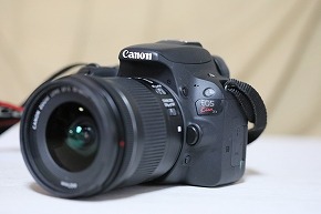 6N6A3439.jpg