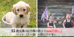 ペットと子どもの数 (1).png
