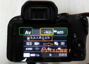 CIMG2644..jpg