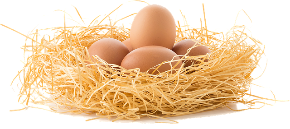 drive-the-eggs-3070850_640.png