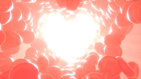 heart-2176218_960_720.png