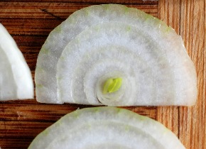 onion-slices-texture-5-1155614.jpg
