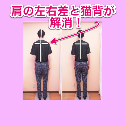 IMG_A7185C1C4673-1.jpeg