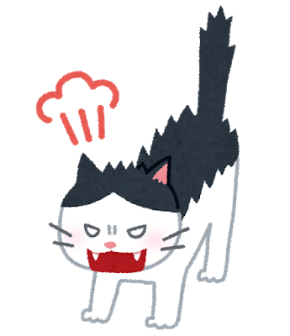 毛を逆立てて怒る猫イラスト.png