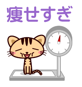 痩せ猫イラスト.png