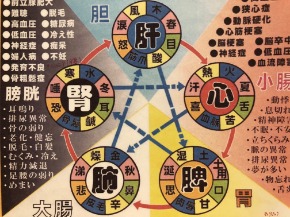 五臓六腑.jpg