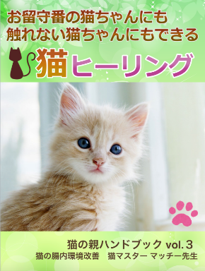 猫ヒーリング表紙.png