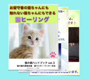 猫ヒーリング表紙.png