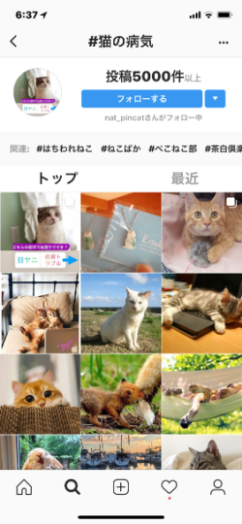 猫の健康１位.PNG