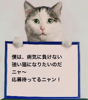 スクリーンショット 2019-10-03 21.25.49.png