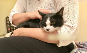 おむすびちゃんと飼い主さん.jpg