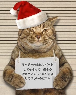 クリスマス猫.png