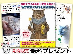 猫コロナバナー２.png