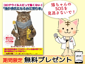 猫コロナバナー３.png