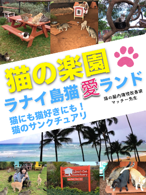 ラナイ島猫愛ランド表紙.png