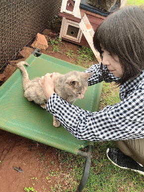 猫ヒーリングサンクチュアリ.jpeg