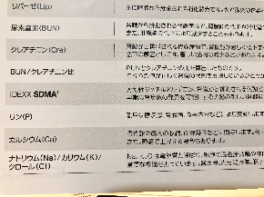 検査項目.JPG