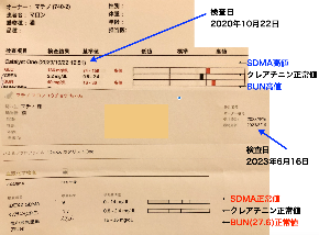 まろん校長腎臓数値推移.png