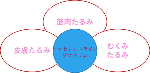 3つの原因.png