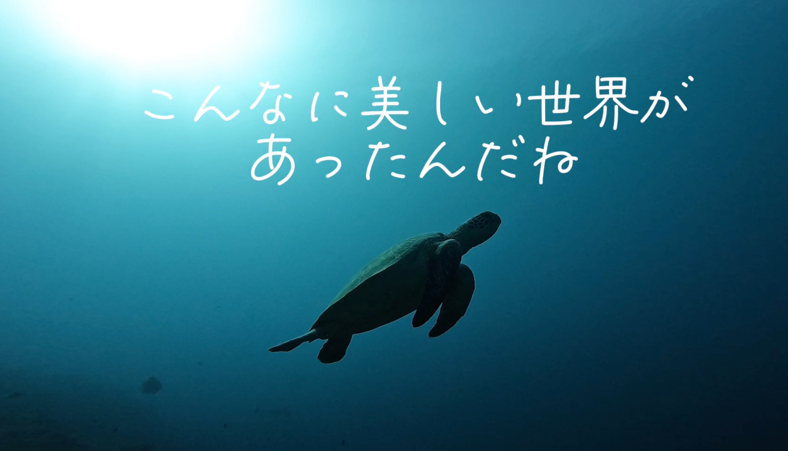 スクリーンショット 2023-11-11 11.53.38.png