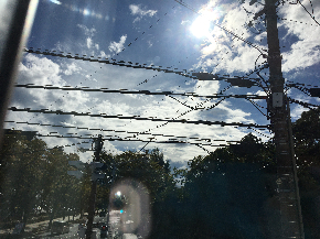 2019-10-22 010.JPG