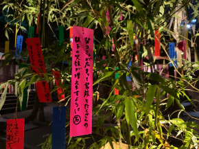 IMG_3384.jpeg