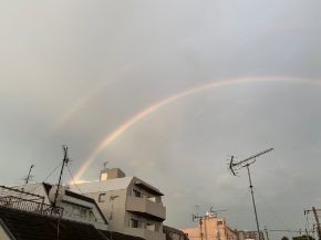 IMG_4026.jpeg