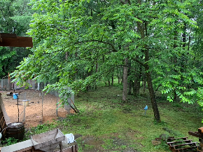 647ACD16-31F8-4BD7-9E41-7E00AFFDF859_1_105_c.jpeg