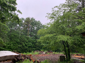 8A738081-1734-4470-8AF9-046DEE9441F5_1_105_c.jpeg