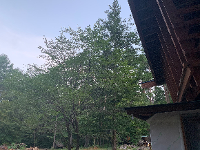 IMG_7622.jpeg