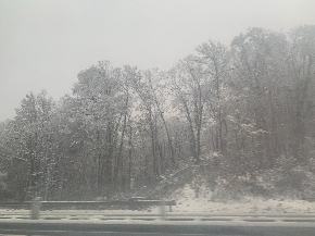 IMG_9180.jpeg