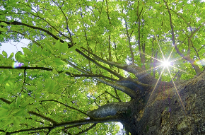 スクリーンショット 2022-03-25 16.58.31.png