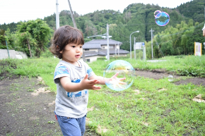 530189_s.jpg