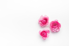 006stockphoto_TP_V.jpg