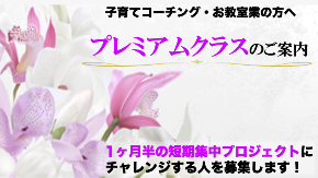 プレミアアムクラス画像.png
