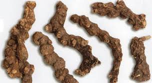 ダウンロード (2).jpg