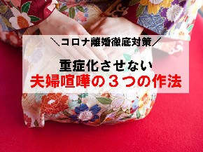 横幅290