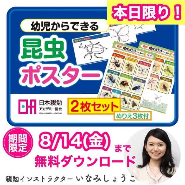 いなみさん