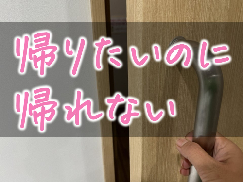 帰りたいのに帰れない.jpg